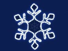 Дендрита 1.2  