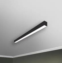 RVE00018611  