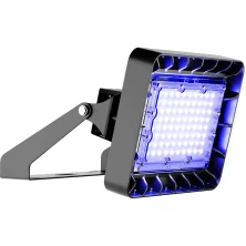 УТ000018570  