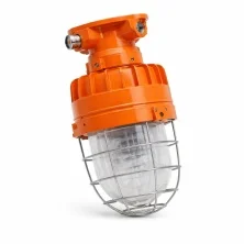Импреза-Страж-1Ex-20  