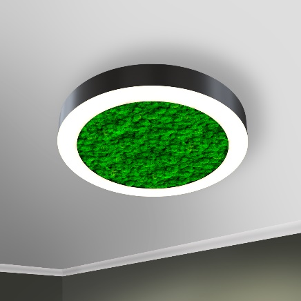 RVE00002144  в Москве