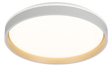 CL753450G  