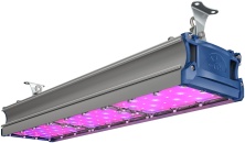 СВЕТОДИОДНЫЙ СВЕТИЛЬНИК TL-PROM SM FITO 100 RS УТ000010364 - УТ000010364