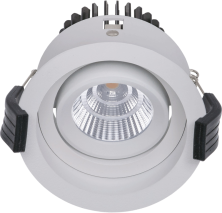 RAMO 13 BL D45 3000K (with driver)  