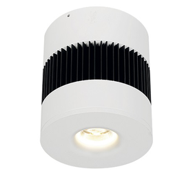 Светильник BARRO 25 3000K производства Световые Технологии - 1558000030