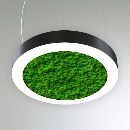 RVE00000536  в Москве 