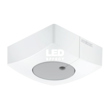LS-DUAL-SQ  