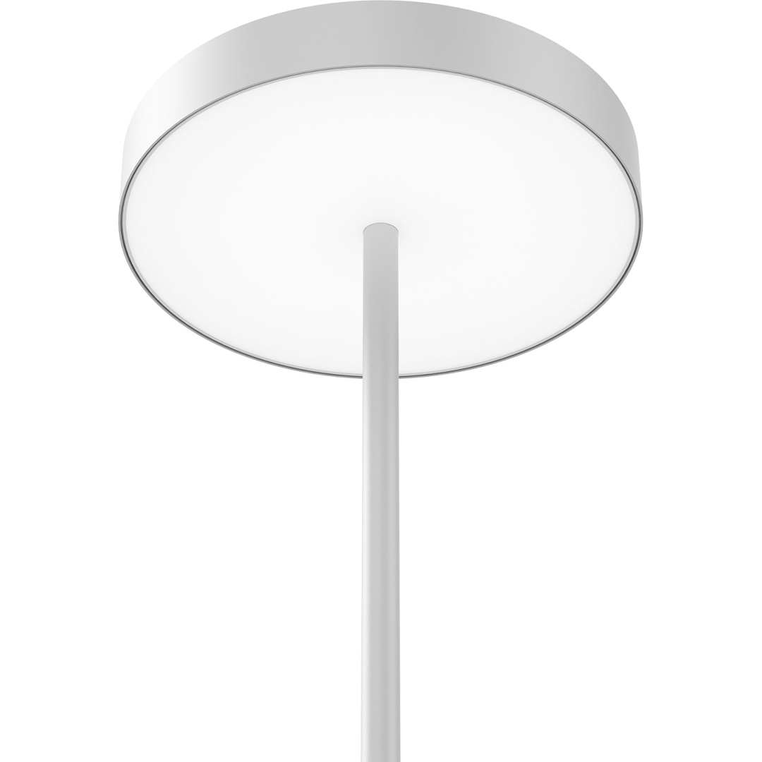 1781000010  в Москве 