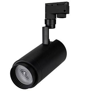 Светильник LGD-ZEUS-2TR-R100-30W Day5000 (BK, 20-60 deg) Arlight арт. 026612 - 026612