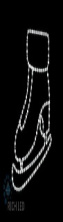 RL-FD-24V-025S-W  