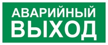 Пиктограмма Е23 Указатель аварийного выхода (310 х130) производства Светон - CB-K2358001