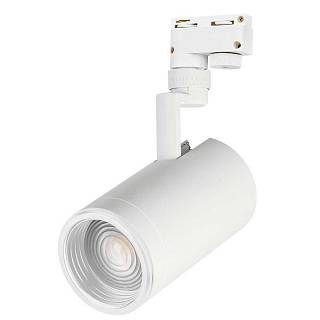 Светильник LGD-ZEUS-2TR-R100-30W Day5000 - 026613