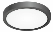 CL738181V  