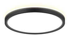CL748241  