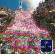 RL-C2*9F-CB/M  