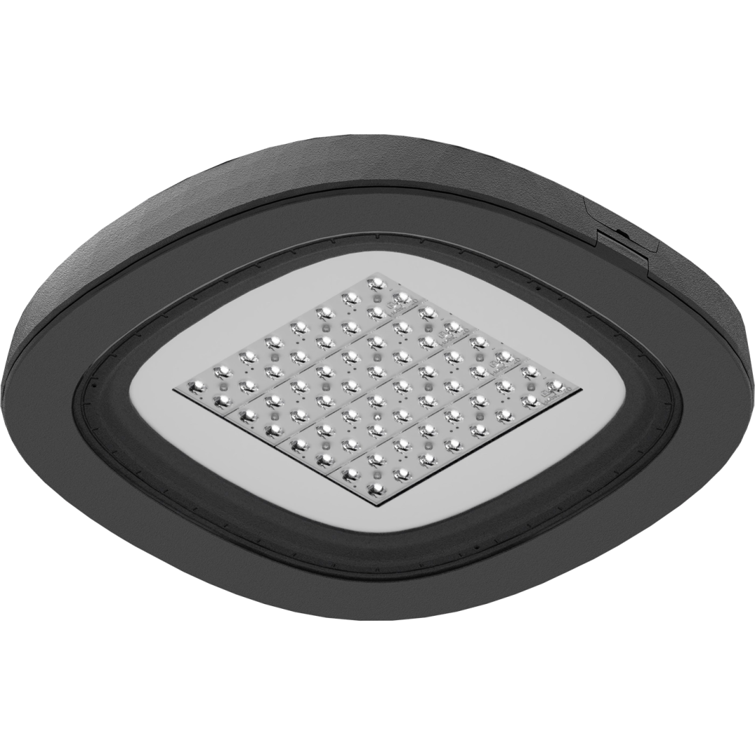 1707001240  в Москве 