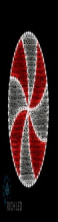 RL-FD-24V-021S-WdRW  
