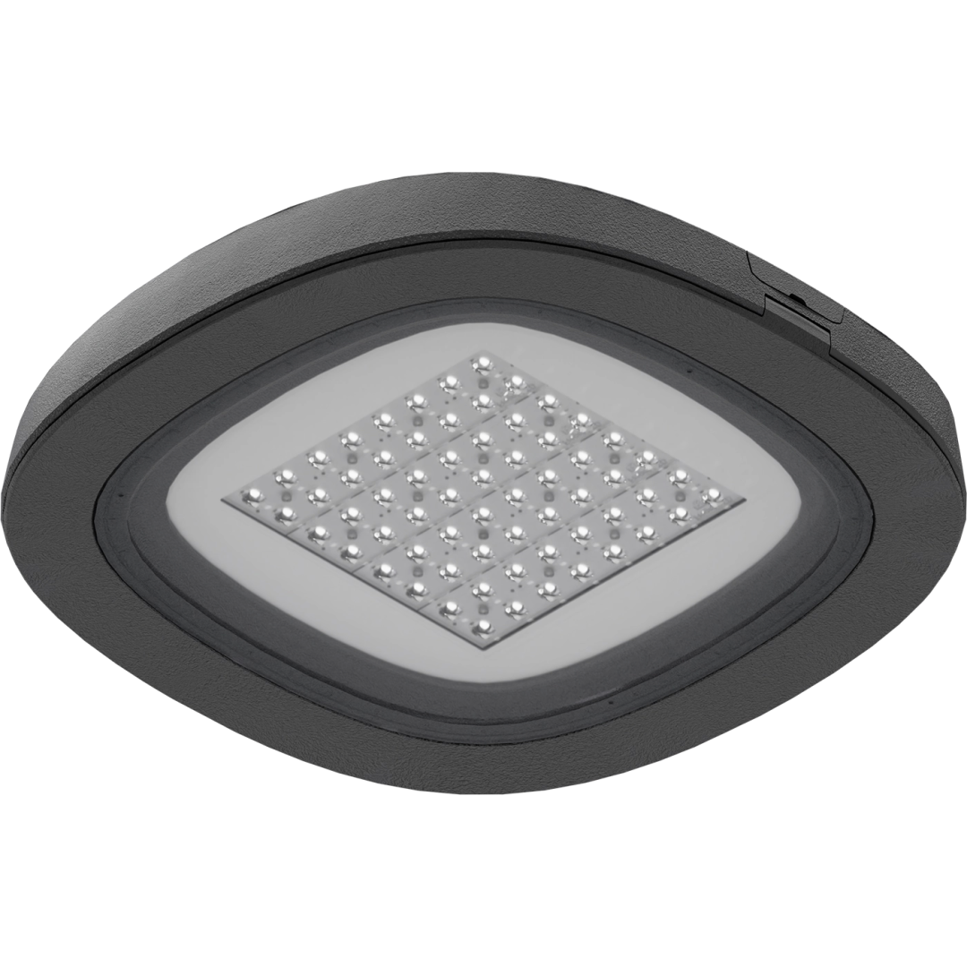 1707001550  в Москве 