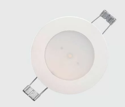 Аварийный светильник BS-ARUNA-81-L1-INEXI2 IP65 арт. a22206 - a22206