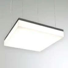 RVE00002244  