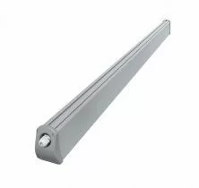 FG 55 DC 12W 36V  