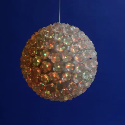 Сакура два цвета  в Москве 