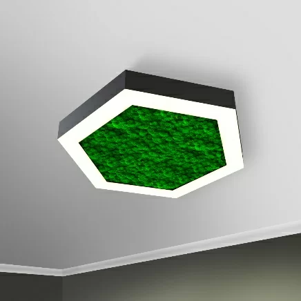 RVE00001639  в Москве