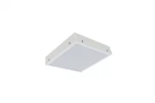 TLF03 OL ECP  