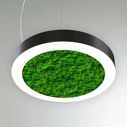 RVE00000539  в Москве 