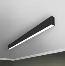 RVE00018581  