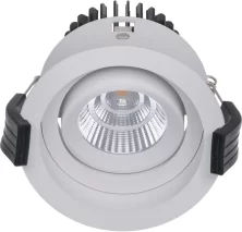 RAMO 13 WH D45 2700K (with driver)  