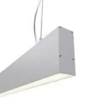 RVE00018586  