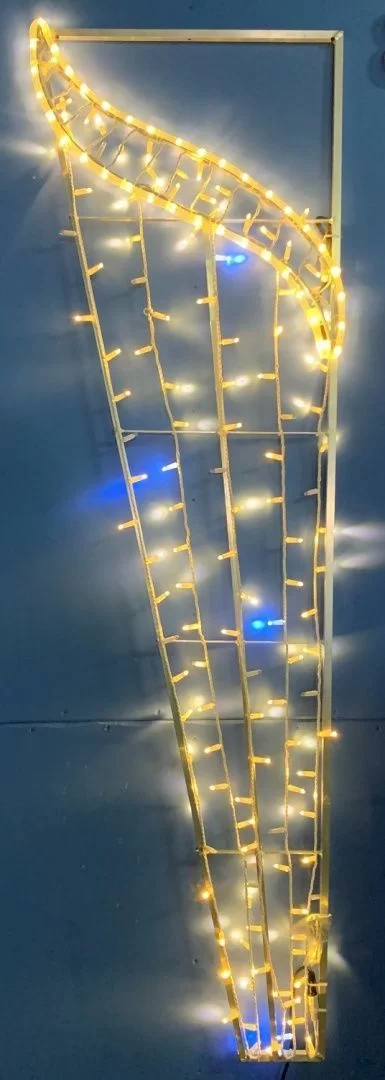 Лира  в Москве 