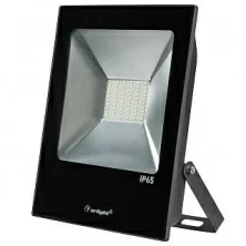Светодиодный прожектор AR-FLAT-ICE-50W-220V Green Tree (Black, 120 deg) Arlight арт. 024183 - 024183