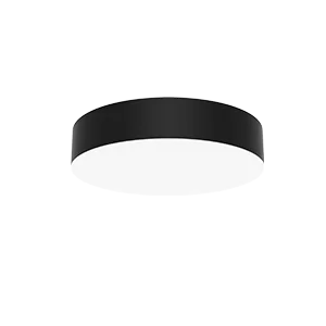 V1-R0-00202-20000-2009040  в Москве 