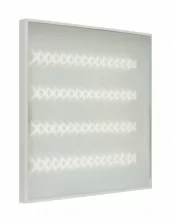 Office 20 600L  