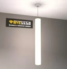 RVE00000229  