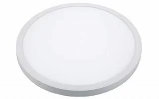 SP-R600A-48W Day White  в Москве 