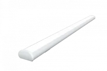 FL 81 40W  