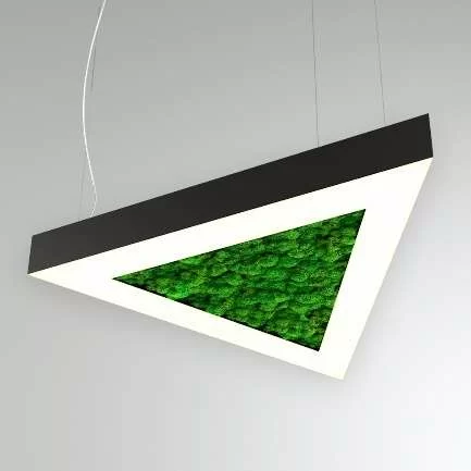 RVE00000579  в Москве 