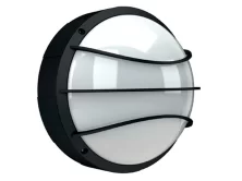 DAMIN NBT F226 HF silver  