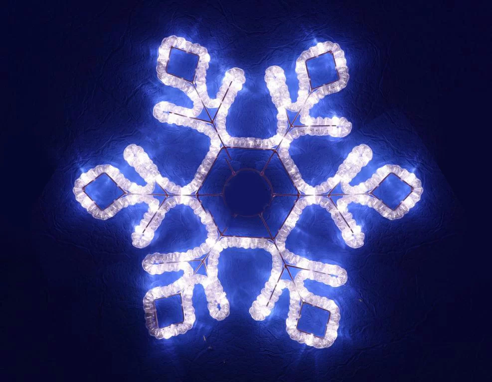 Дендрита  в Москве 