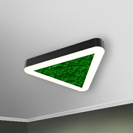 RVE00002206  в Москве