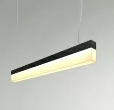 RVE00002251  