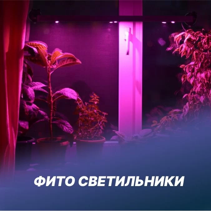 Фито светильники