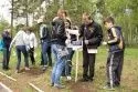 Всероссийская акция «Сирень победы»