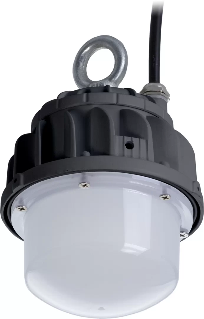 ACORN LED 5х10 D150 5000K with glass 12 VDC Ex throught wiring  в Москве 
