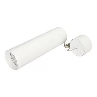 Светильник SP-POLO-HANG-LONG300-R85-15W White5000 - 027420
